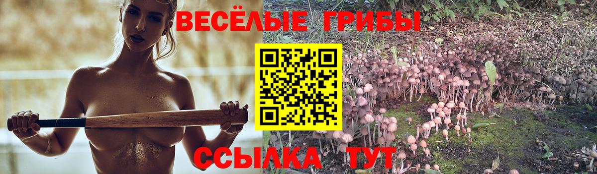 Галлюциногенные грибы Cubensis Владикавказ