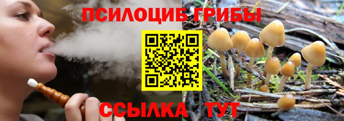 Галлюциногенные грибы Cubensis  дарнет шоп  Владикавказ  Вход с VPN 